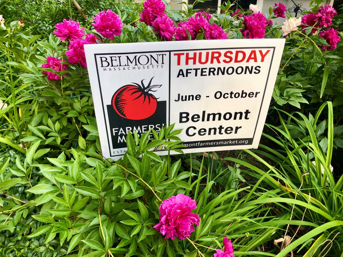 Belmont Farmers Mkt tweet media