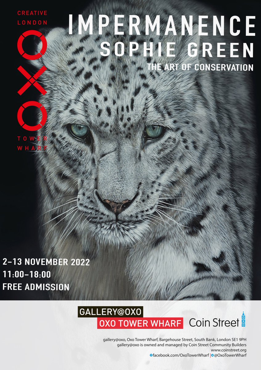sophiegreenart's tweet photo. The countdown has begun.

IMPERMANENCE opens next week; a collection of 14 hyper-realistic acrylic paintings, raising awareness and funds for conservation projects.

Who’s coming? https://t.co/qPdZ6gAdAi