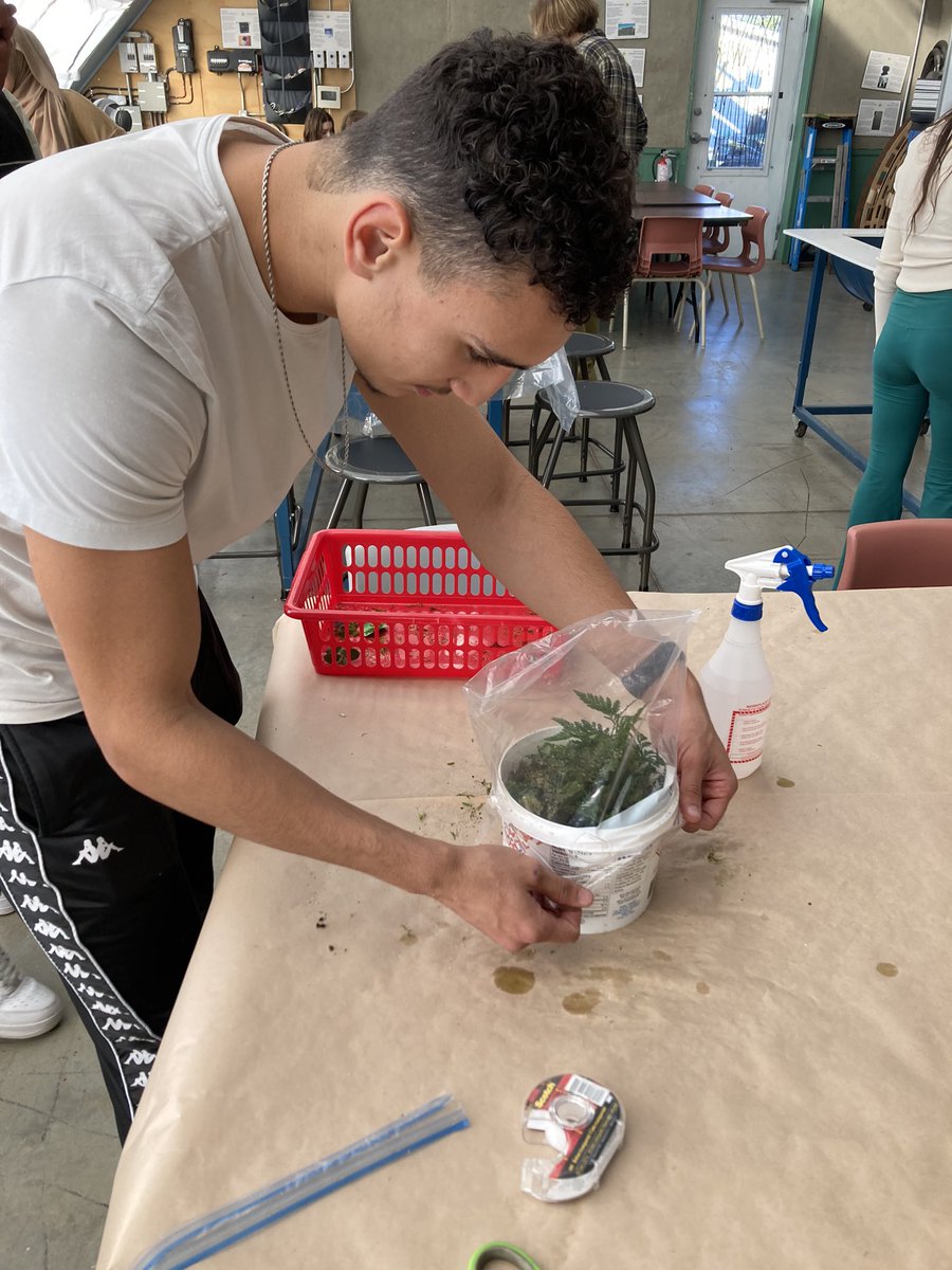 Matière verte🌱E.S.P. Gisèle-Lalonde tweet media