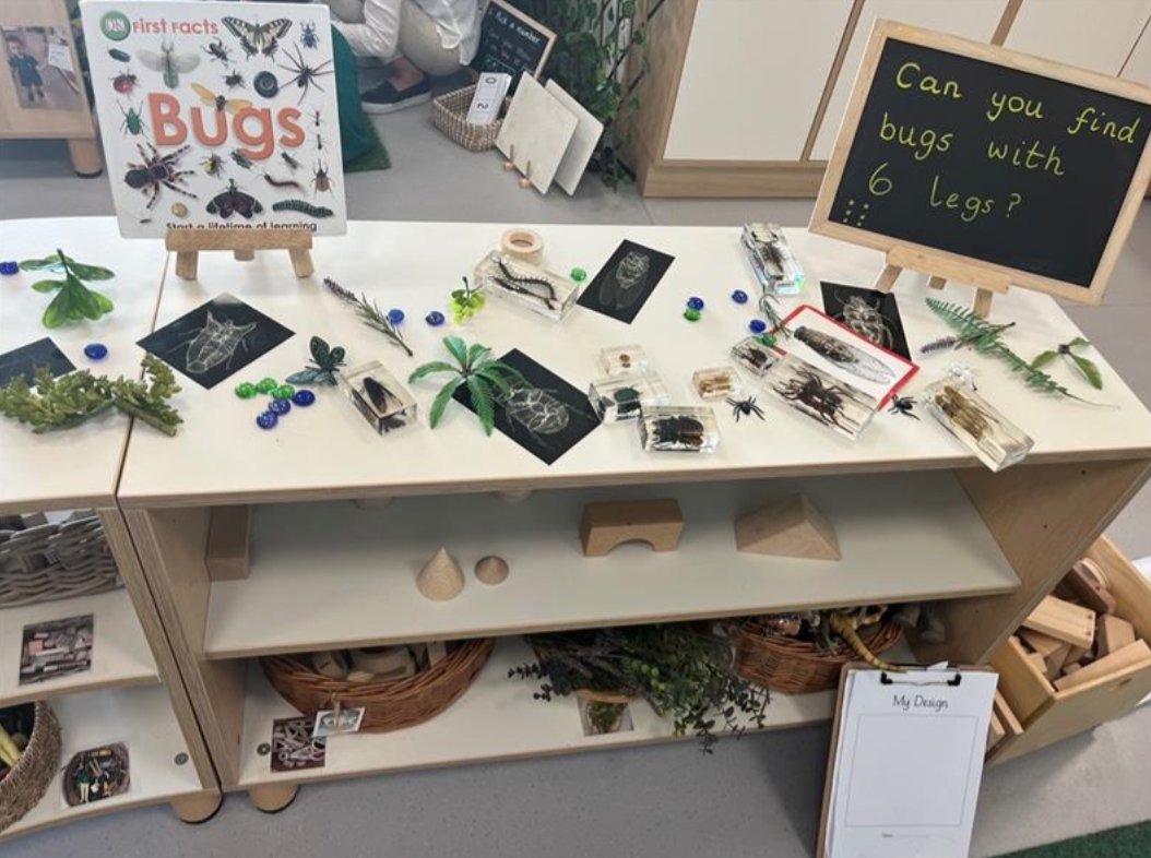 RISAbuDhabiKCC's tweet photo. Stunning maths inquiry unfolding in EY1! These environments! 💚 These learning opportunities 💚 #KCCknowledge #KCCcourage #KCCconnection https://t.co/LNbGJqC5Jk