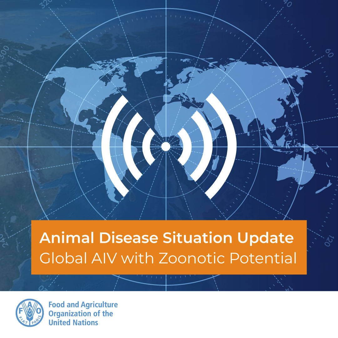 📢 #ReadingNow 🐔 | @FAO Global #avianinfluenza virus (AIV) situation update with zoonotic potential. New HPAI outbreaks across Africa, Americas, Asia & Europe, human cases, updated maps, tables & charts, new publications & more... 🗓️ 26 October 2022 🌐 bit.ly/3OBQaBi