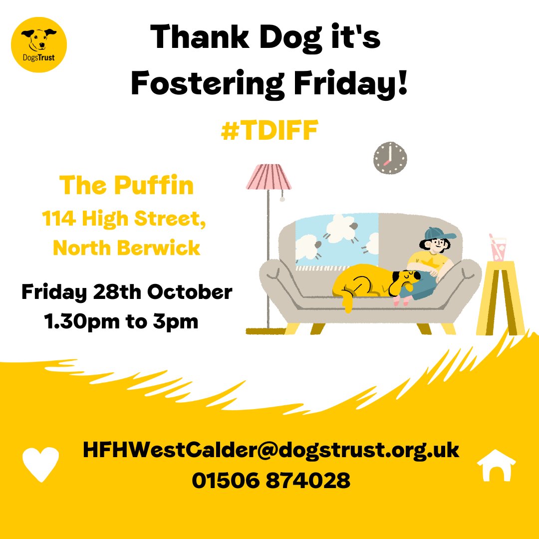 Our latest #TDIFF event is tomorrow! ✨ We're so excited to meet you all at The Puffin in North Berwick! Drop by between 1.30-3pm for a cup of tea, chat with our team about the joys of fostering and learn how you can get involved. 🏡💛 #FosterDog @DogsTrust