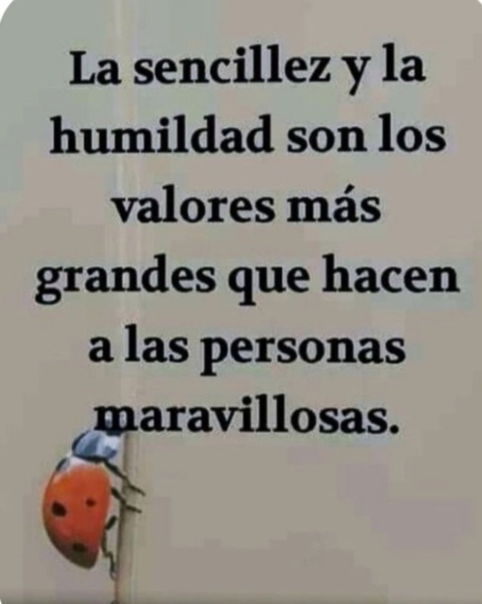 Pili20569002's tweet photo. Buen día y feliz jueves a tod@s 😉☕️👍🤗 https://t.co/Z3u7Mndq5v