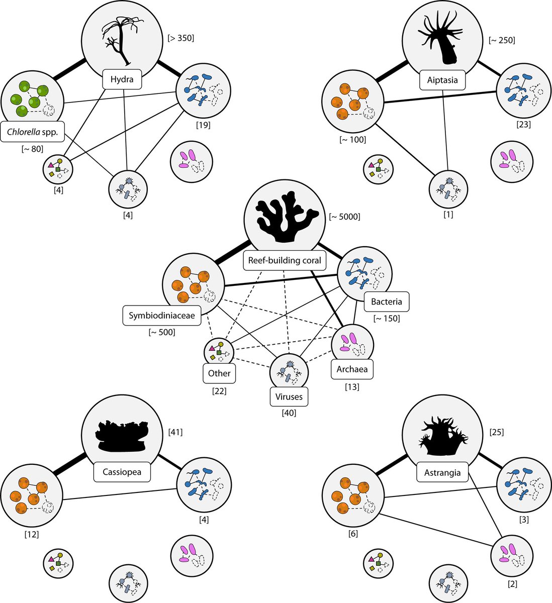 Prof. Michael Sweet (@diseasematters) on Twitter photo Harnessing the Power of Model Organisms To Unravel Microbial Functions in the Coral Holobiont journals.asm.org/eprint/NRJX4YB… @marenfaren @momedinamunoz <a href="/SharpKoty/">Dr. Koty Sharp</a> <a href="/VirginiaMWeis/">Virginia Weis</a> <a href="/sPuntinGi/">Giulia Puntin</a> <a href="/DerbyUni/">University of Derby</a> <a href="/DerbyUniVC/">Prof Kath Mitchell CBE</a> <a href="/bmmo_network/">BMMO network</a> <a href="/MooreFound/">Moore Foundation</a> @SangerToL Harnessing the Power of Model Organisms To Unravel Microbial Functions in the Coral Holobiont journals.asm.org/eprint/NRJX4YB… @marenfaren @momedinamunoz <a href="/SharpKoty/">Dr. Koty Sharp</a> <a href="/VirginiaMWeis/">Virginia Weis</a> <a href="/sPuntinGi/">Giulia Puntin</a> <a href="/DerbyUni/">University of Derby</a> <a href="/DerbyUniVC/">Prof Kath Mitchell CBE</a> <a href="/bmmo_network/">BMMO network</a> <a href="/MooreFound/">Moore Foundation</a> @SangerToL