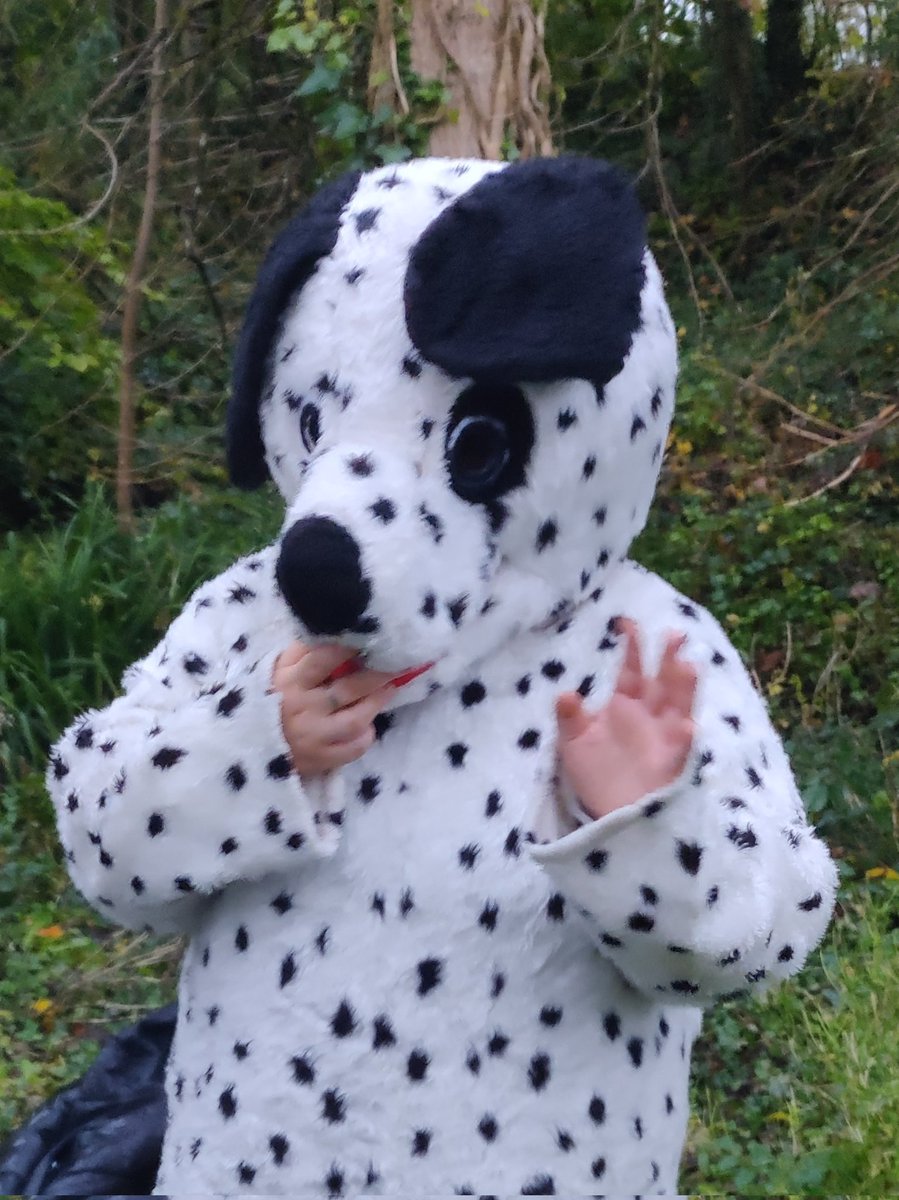 DrElaineMcHugh's tweet photo. Many very happy children at yesterday's Halloween story trail @ATU_Mayo Well done to students and staff! @atu_ie @OFlynnATU https://t.co/dq3QomYYKj