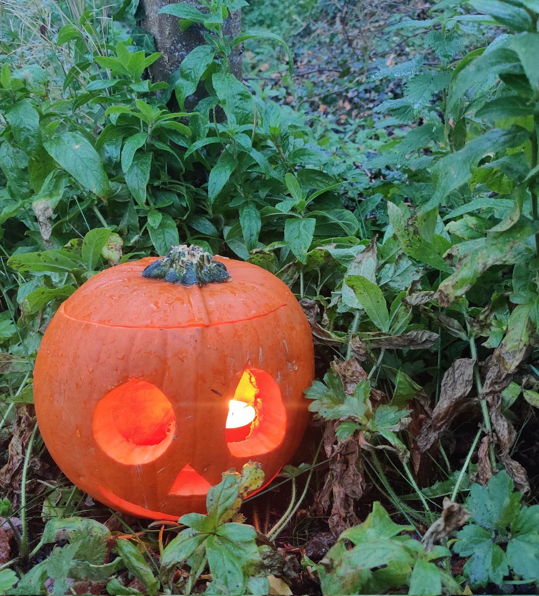 DrElaineMcHugh's tweet photo. Many very happy children at yesterday's Halloween story trail @ATU_Mayo Well done to students and staff! @atu_ie @OFlynnATU https://t.co/dq3QomYYKj