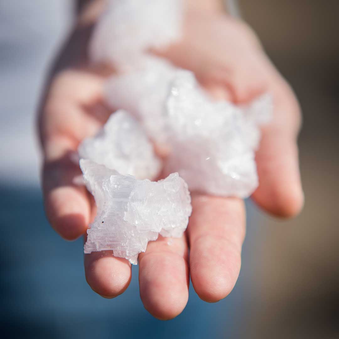 Book Style tweet media