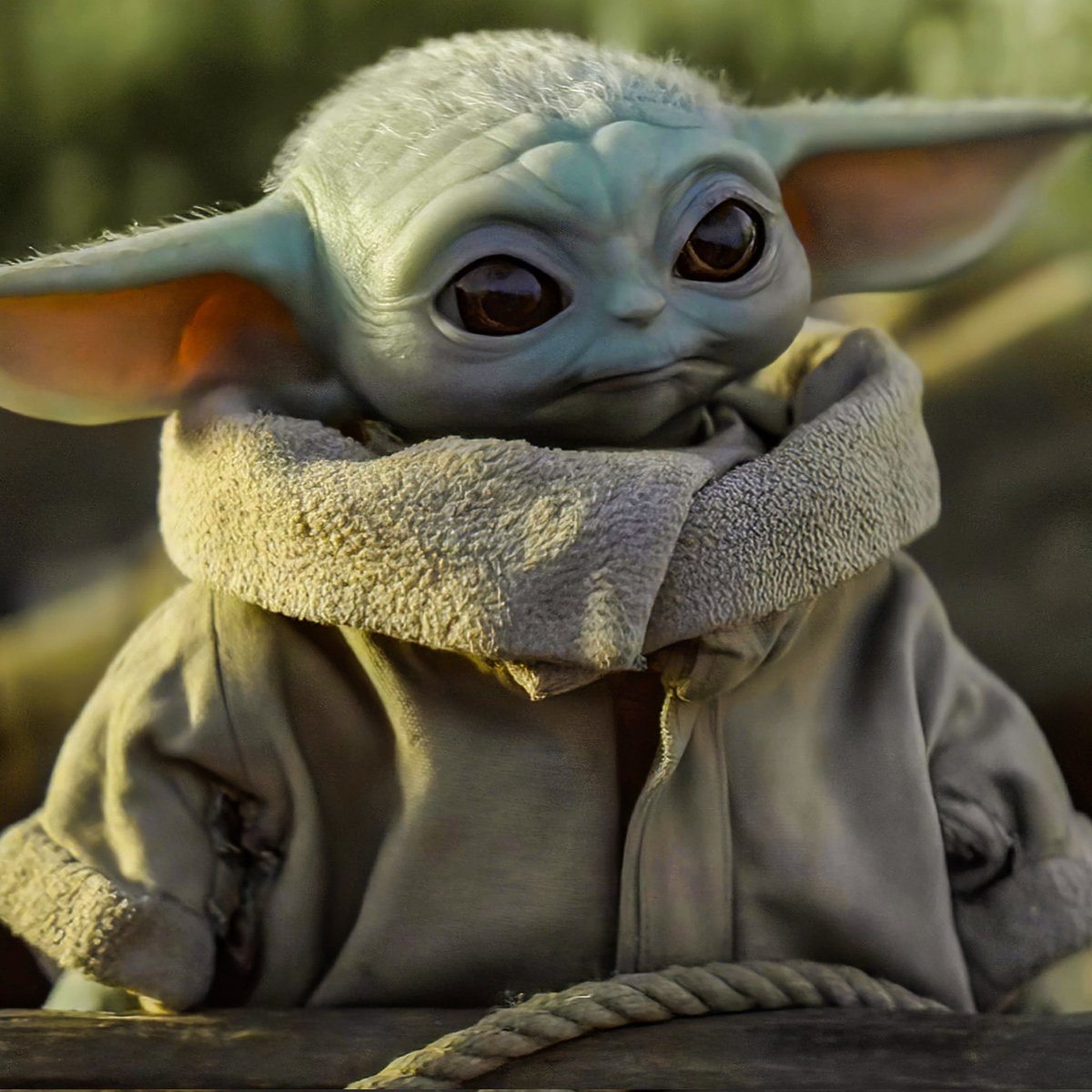 Yoda and Yaddle hav sex and then birthed grogu