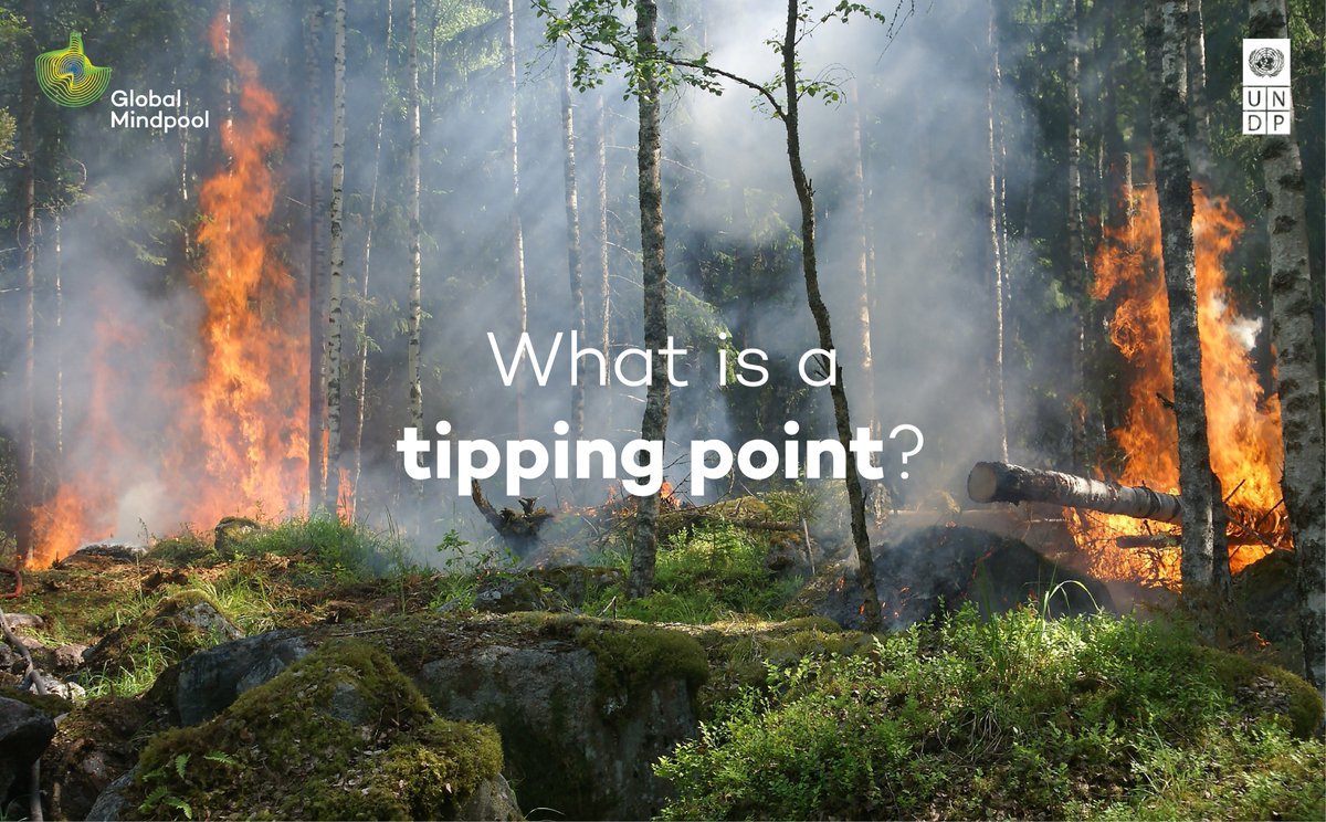 Global Mindpool tweet media