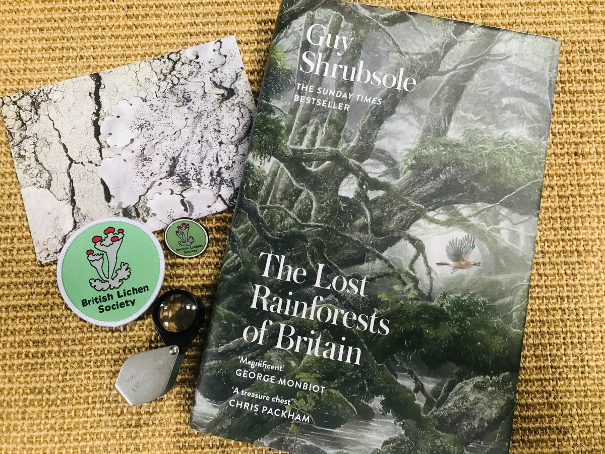 It's publication day! My new book THE LOST RAINFORESTS OF BRITAIN is out in all good bookshops now! Order online: amazon.co.uk/Lost-Rainfores… or uk.bookshop.org/books/the-lost… To celebrate @LouisaCasson bought me some lichen badges from @BLSlichens - support them: britishlichensociety.org.uk