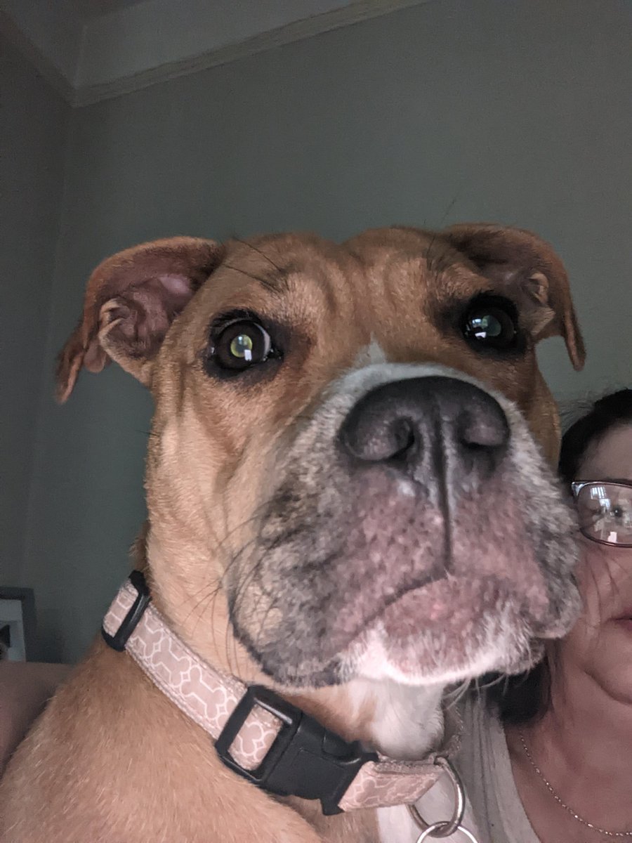 Good morning everypawdy, l is 1 year old today. Have a great day xx