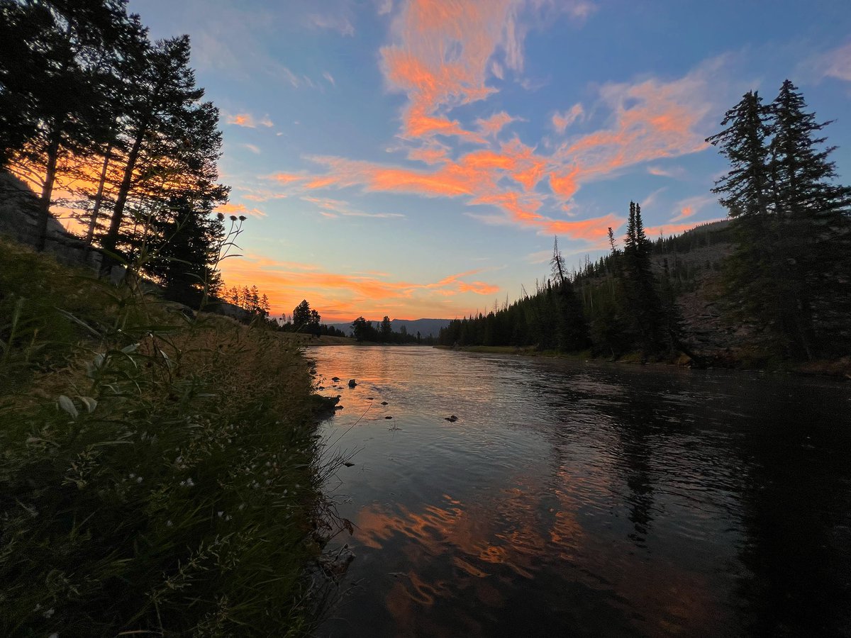 Morning y’all. 
“Laugh, I tell you
And you will turn back
The hands of time.
Smile, I tell you
And you will reflect
The face of the divine.”
Suzy Kassem
☕️☕️☕️☕️
📸Madison River, Yellowstone National Park.