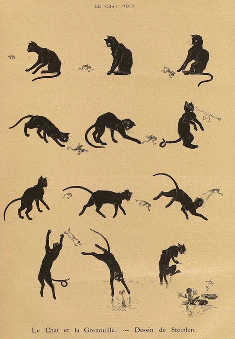 イギリスの #黒猫の日 らしい。#NationalBlackCatDay私も黒猫好き。再掲黒猫画像 