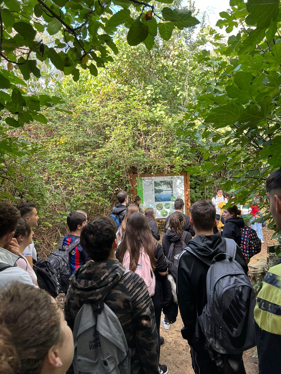 CE GregorioFernández tweet media