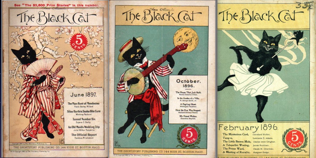 イギリスの #黒猫の日 らしい。
#NationalBlackCatDay
私も黒猫好き。
再掲黒猫画像 