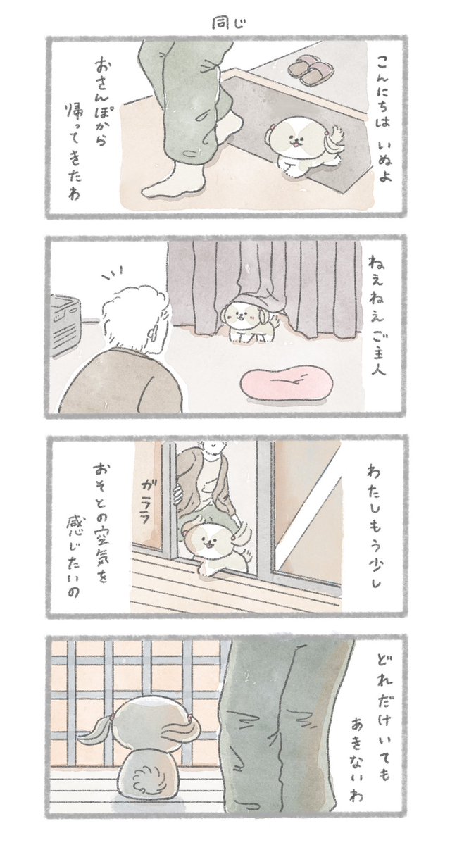 同じ #こんにちはいぬです 