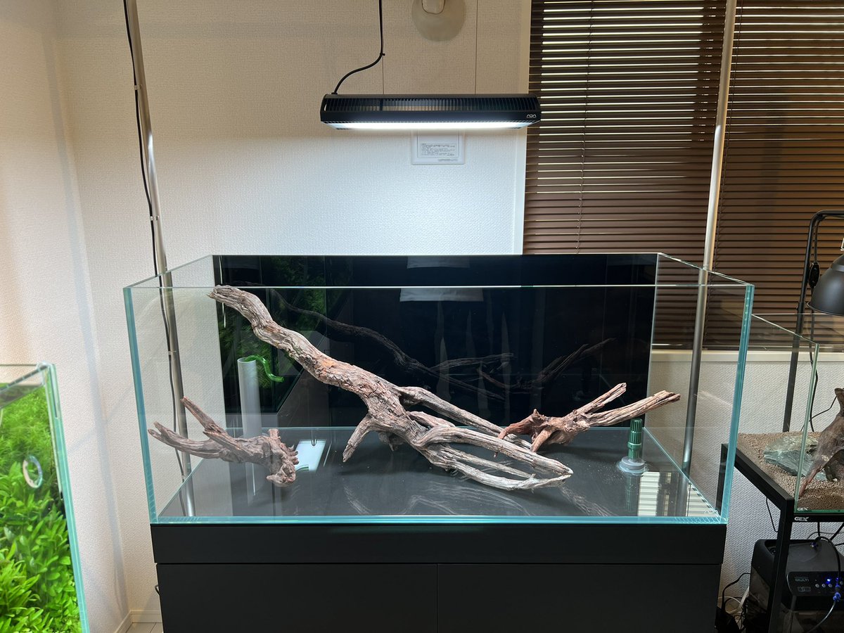 AquaRevue's tweet photo. 無事、水槽納品設置完了
お客様の笑顔に仕事の達成感を味わってます。
#PALUDA #ADA #熱帯雨林 https://t.co/F4E4WKL7Dl