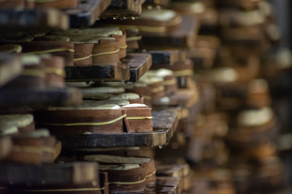 C'est la saison du Mont d'Or ! Ce fromage artisanal au lait cru n'est produit qu'entre le 15 août et le 15 mars dans le département du Haut-Doubs, dans les #montagnesdujura.

#ExploreFrance 
<a href="/BFC_Tourisme/">En Bourgogne Franche-Comté</a> 

📷 Adobe Stock