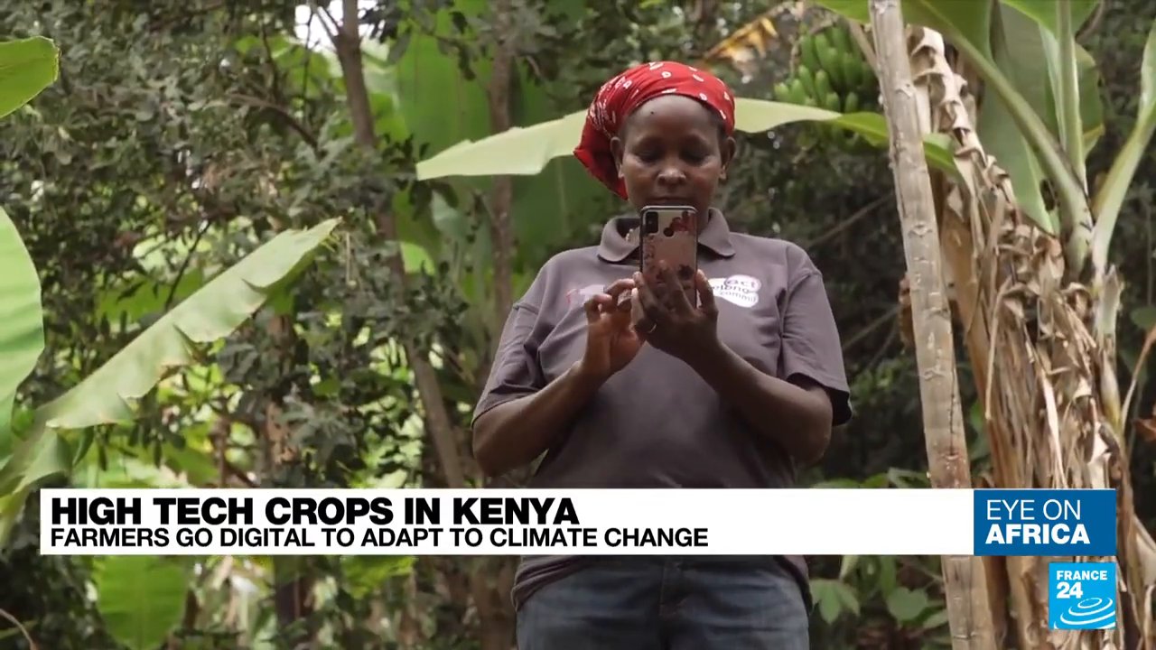 Microsoft Africa on Twitter "AgriBot, a digital agricultural