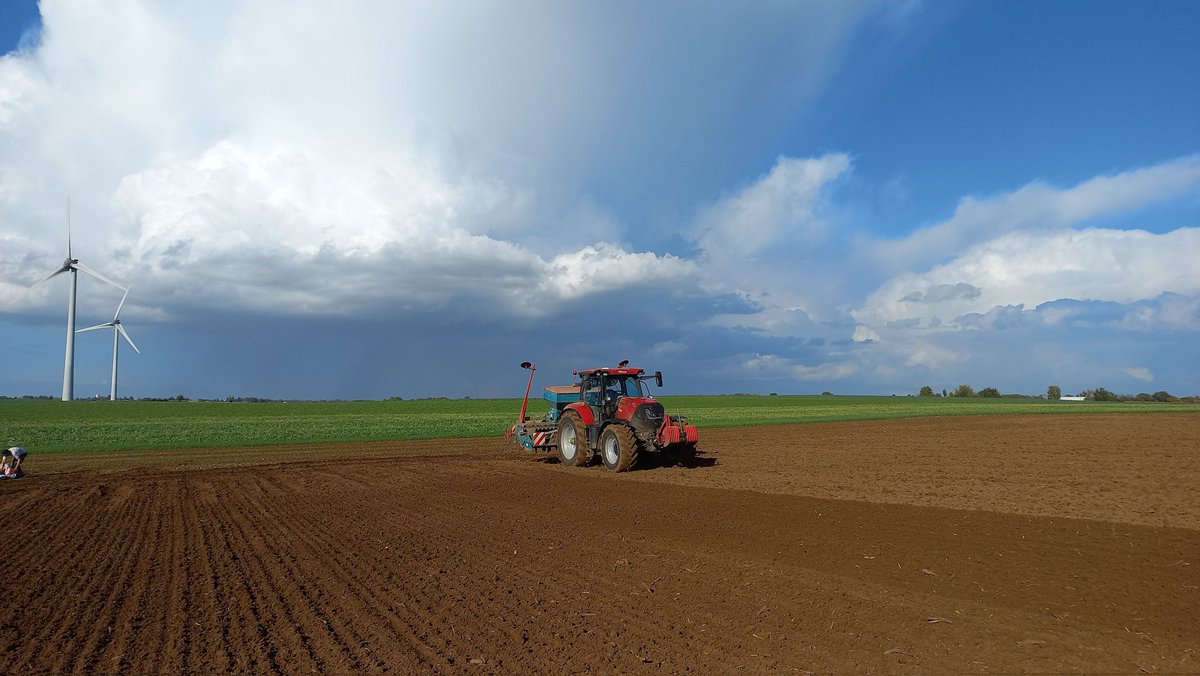 ✅️ Vitrine blé tendre 
✅️ Vitrine orge d'hiver 

Rendez vous à la récolte 🌾
 #Ceuxquifontlesessais