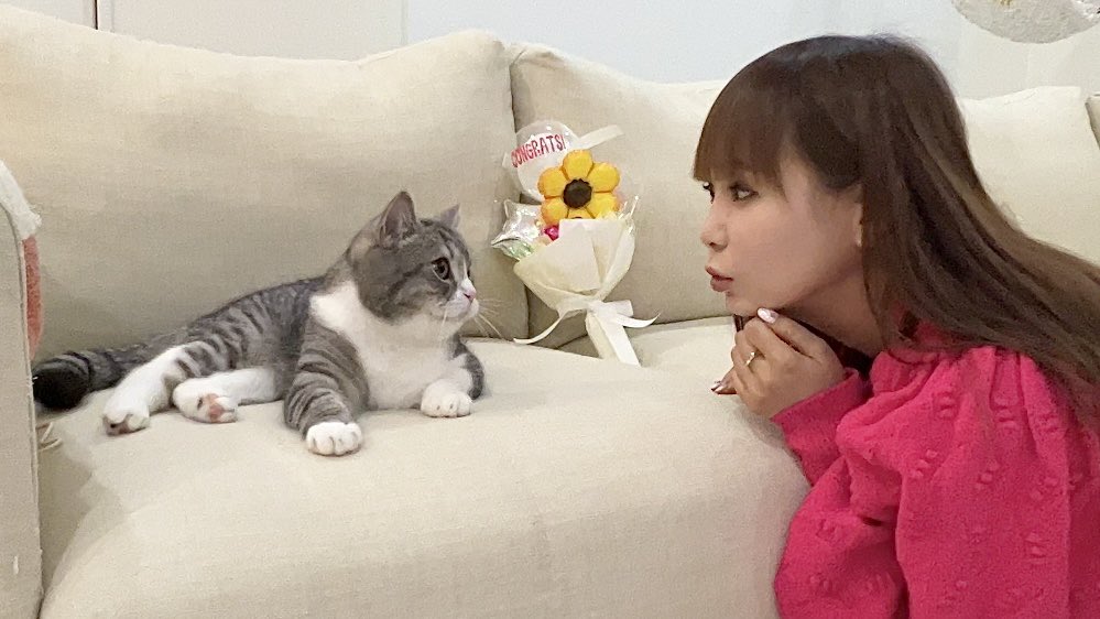 もちまる on Twitter: もちまる on Twitter: