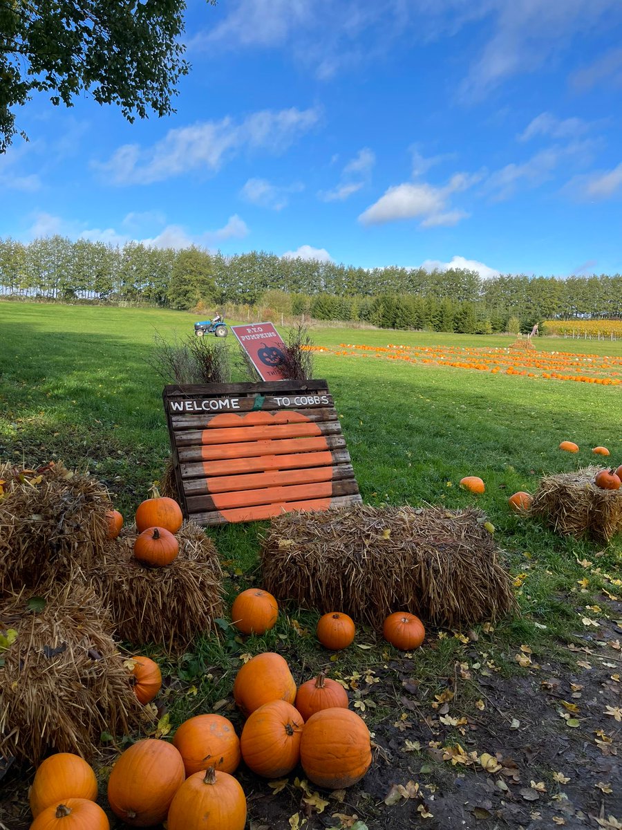 janelottering's tweet image. Pumpkin picking #cotswolds stylee 🎃