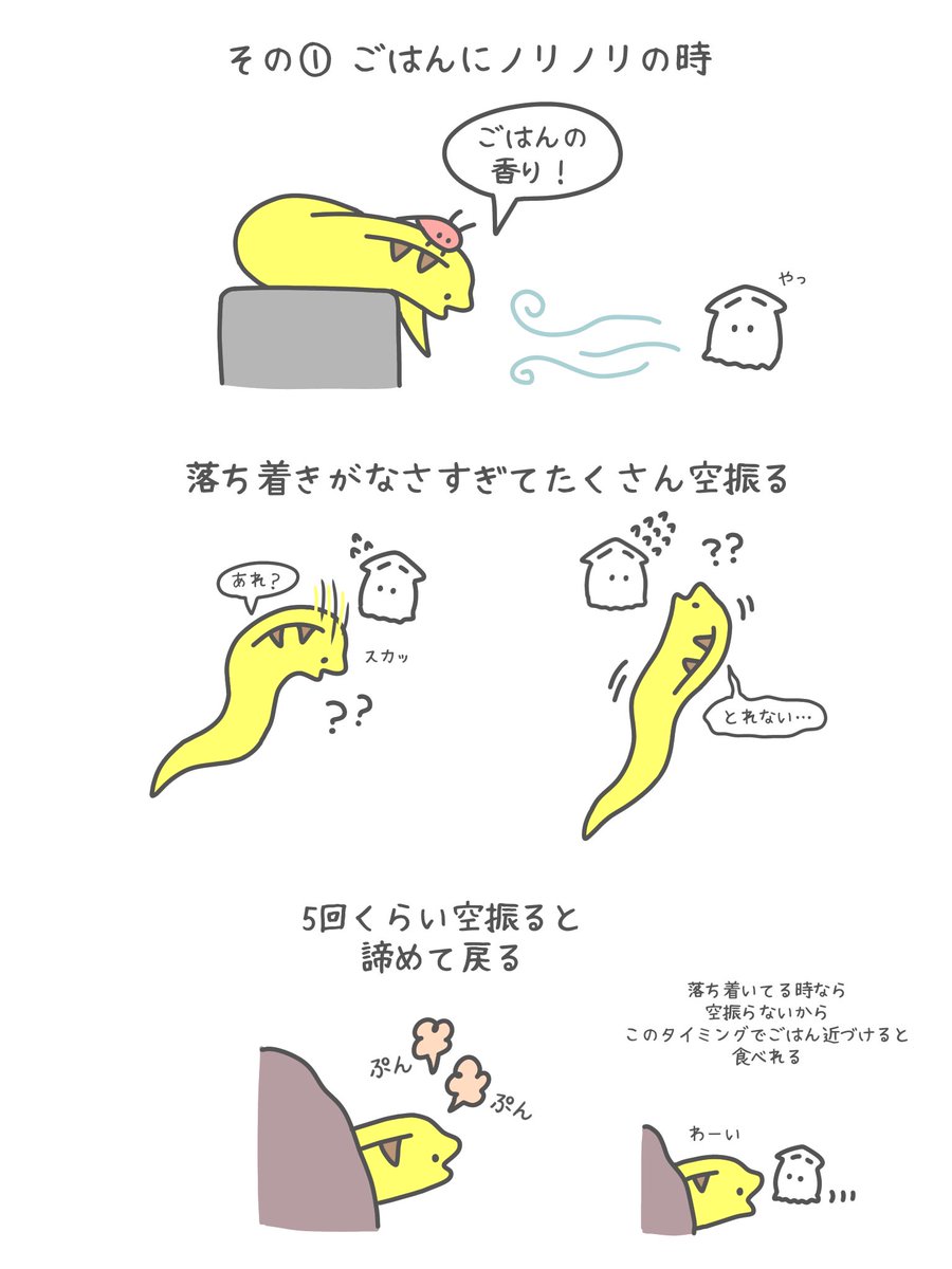 ウツボとごはん 