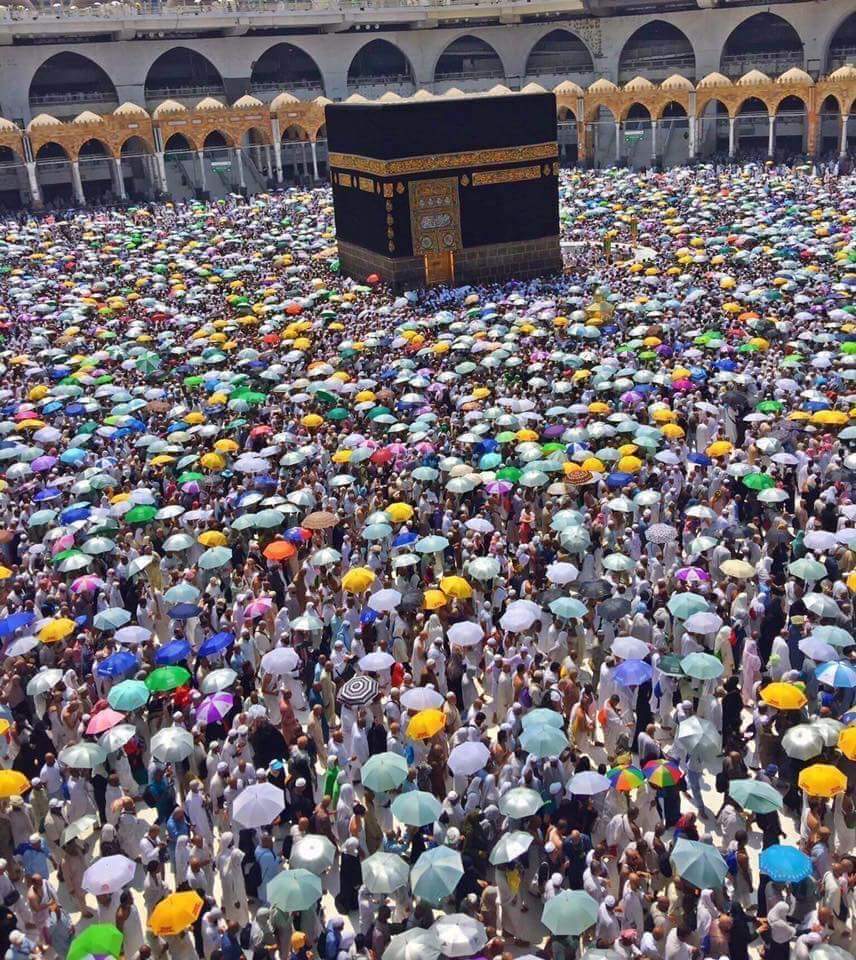 Today's best photo 📷❤️💯