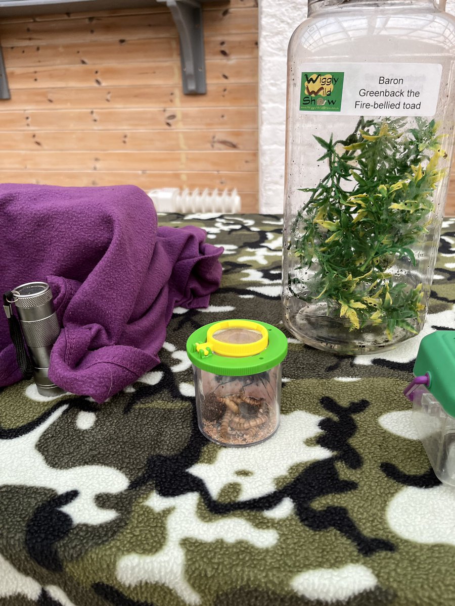 We’re ready for you <a href="/LeonardsleeG/">Leonardslee Lakes & Gardens</a> - dare you glare into the scorpion’s lair? #halloweenevents #spooktacular #familyfun