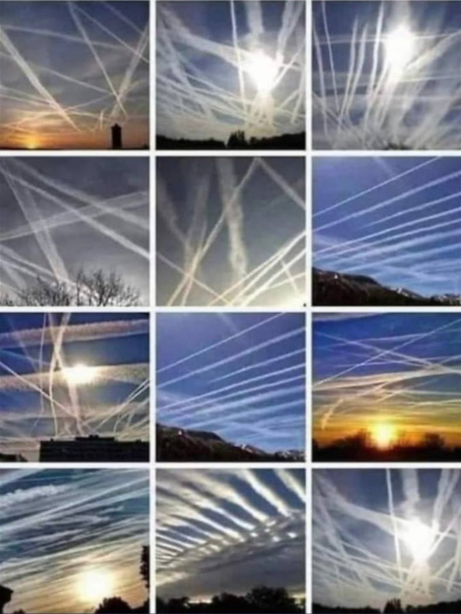 asırlardır sure gelen düzeni zehirlerinizle bozup bunu hayvanlara mal edemezsiniz... aklı başında kimse buna inanmaz! #inekOsurduKarbonBozuldu #chemtrails