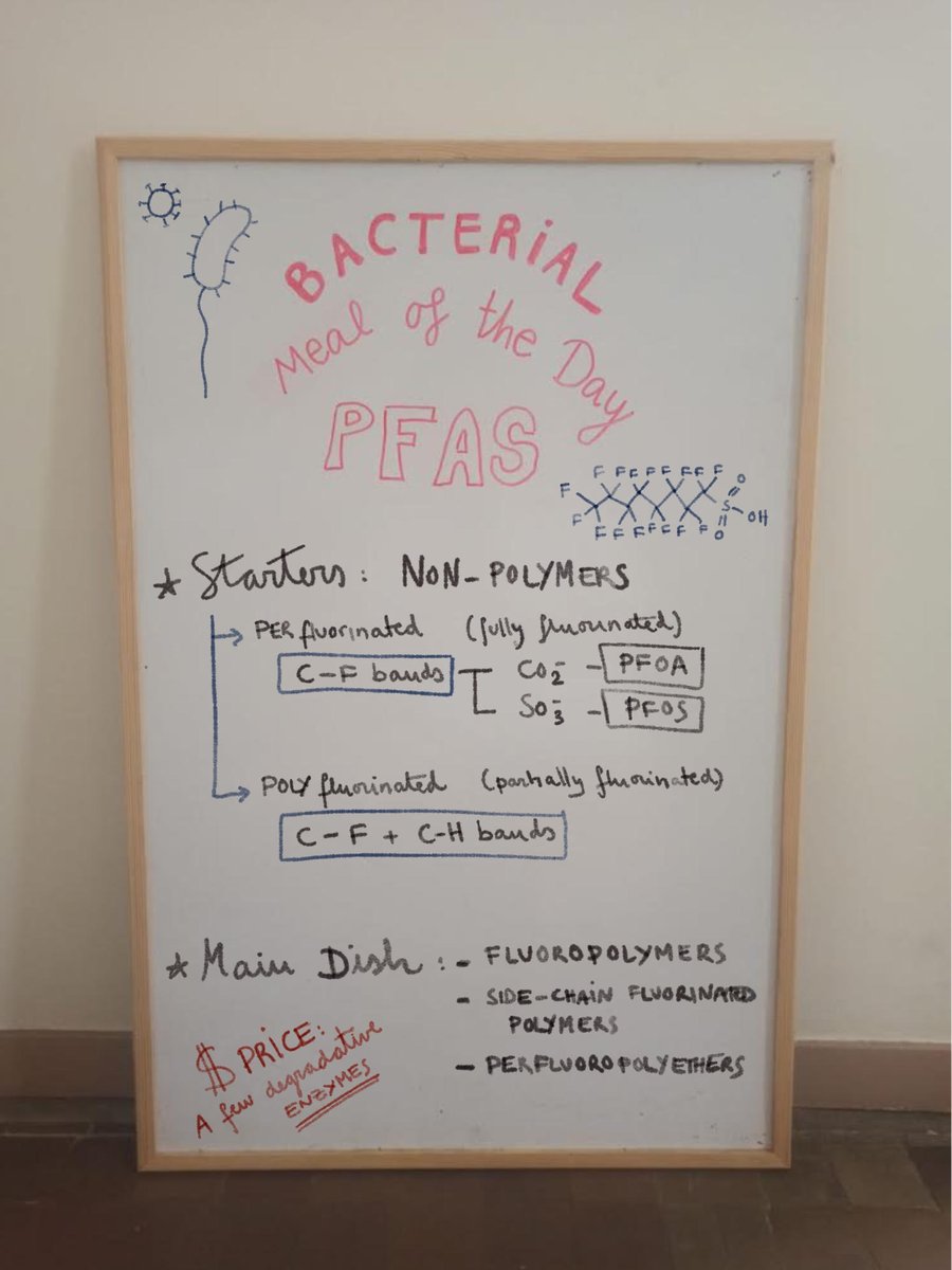 🦠 Bacterial Meal Of The Day: PFAS 🦠 Have you ever thought of bacteria choosing man-made pollutants as their food? Well, let's talk about that in our ever first #BGCThursdayThreads