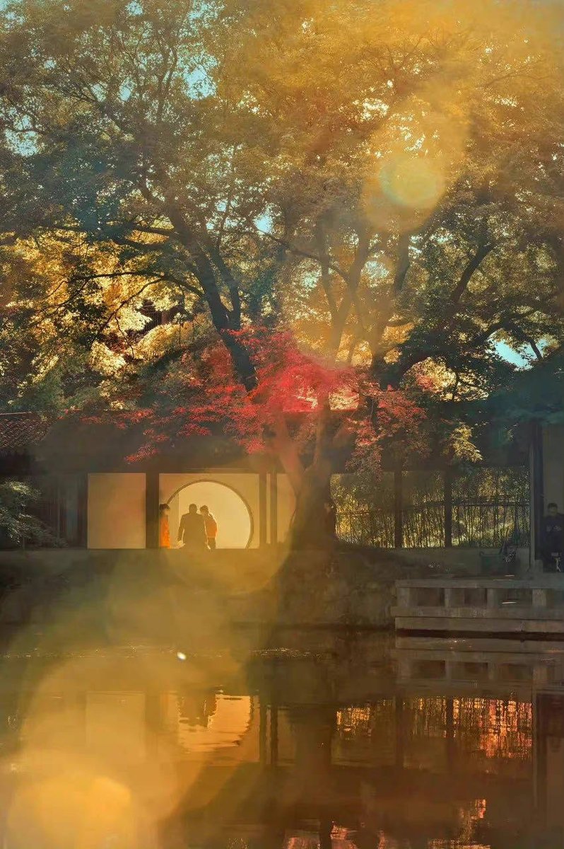 ViVi Tong tweet media