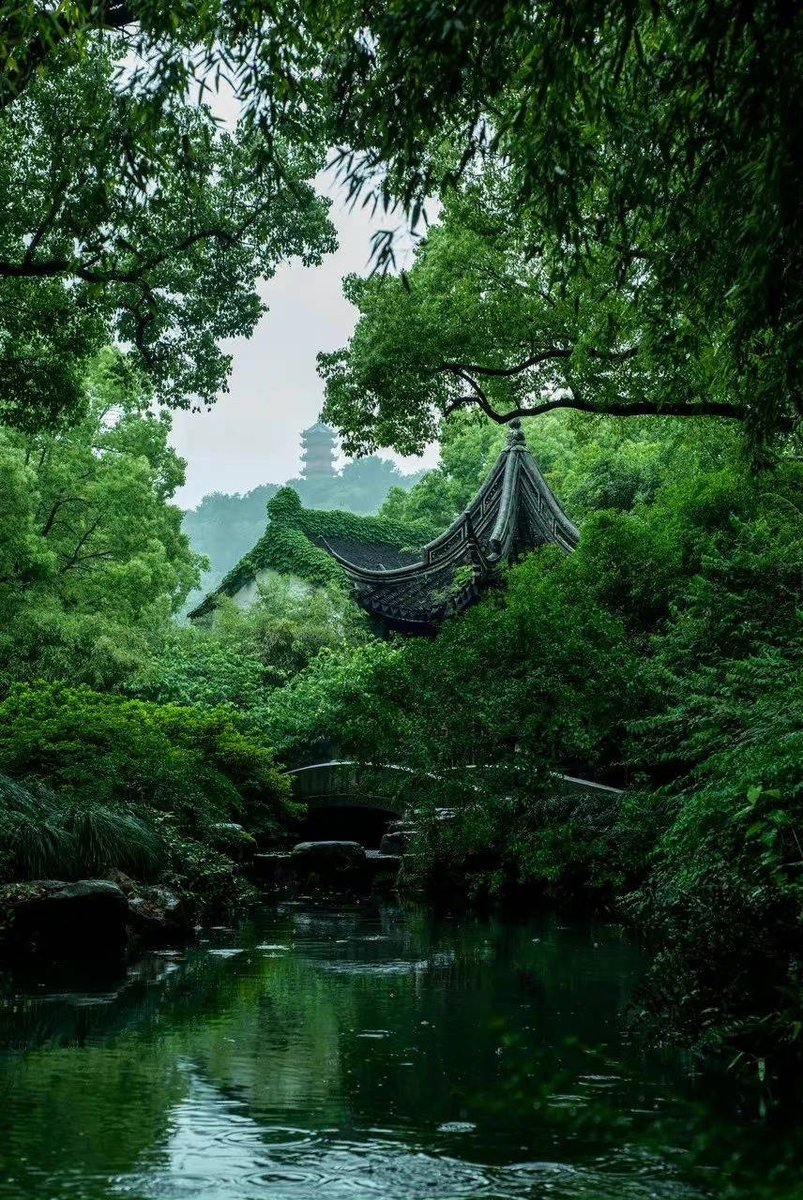 ViVi Tong tweet media