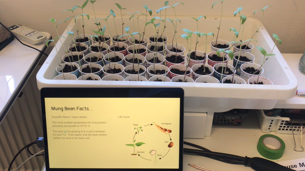 Tιɱ Sƈαɾɾσƚƚ tweet media