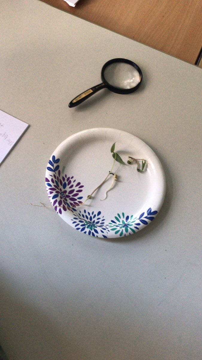 Tιɱ Sƈαɾɾσƚƚ tweet media