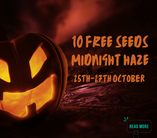 gorillaseeds's tweet photo. 10 Seeds free 
Trick or Treat!
Today only
https://t.co/nrreX14i9p https://t.co/tXSuVEV8qF