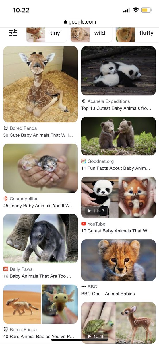 We’ve now working our way through a Google image search for “baby animals”. 

Can’t recommend it enough, frankly.