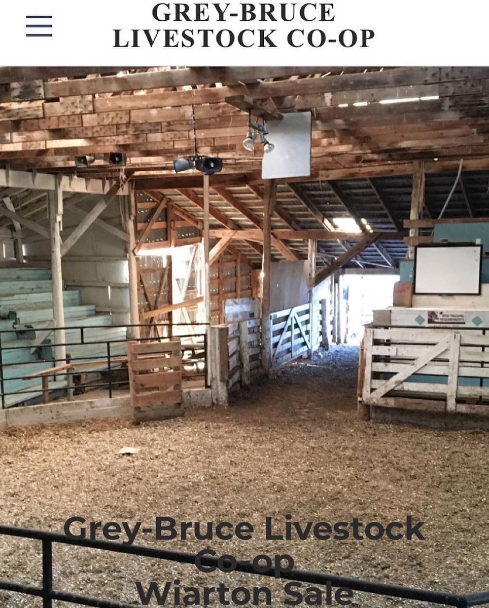 The #GreyBruce Livestock Co-op’s annual fall calf sale will be held TODAY (Thursday October 27) at 10 am at our sales yard just south of #Wiarton. Please visit greybrucelivestockcoop.ca for sale details.  #beef #auction