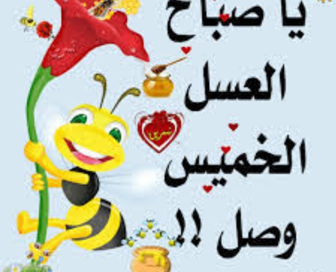 Monawaat nour tweet media