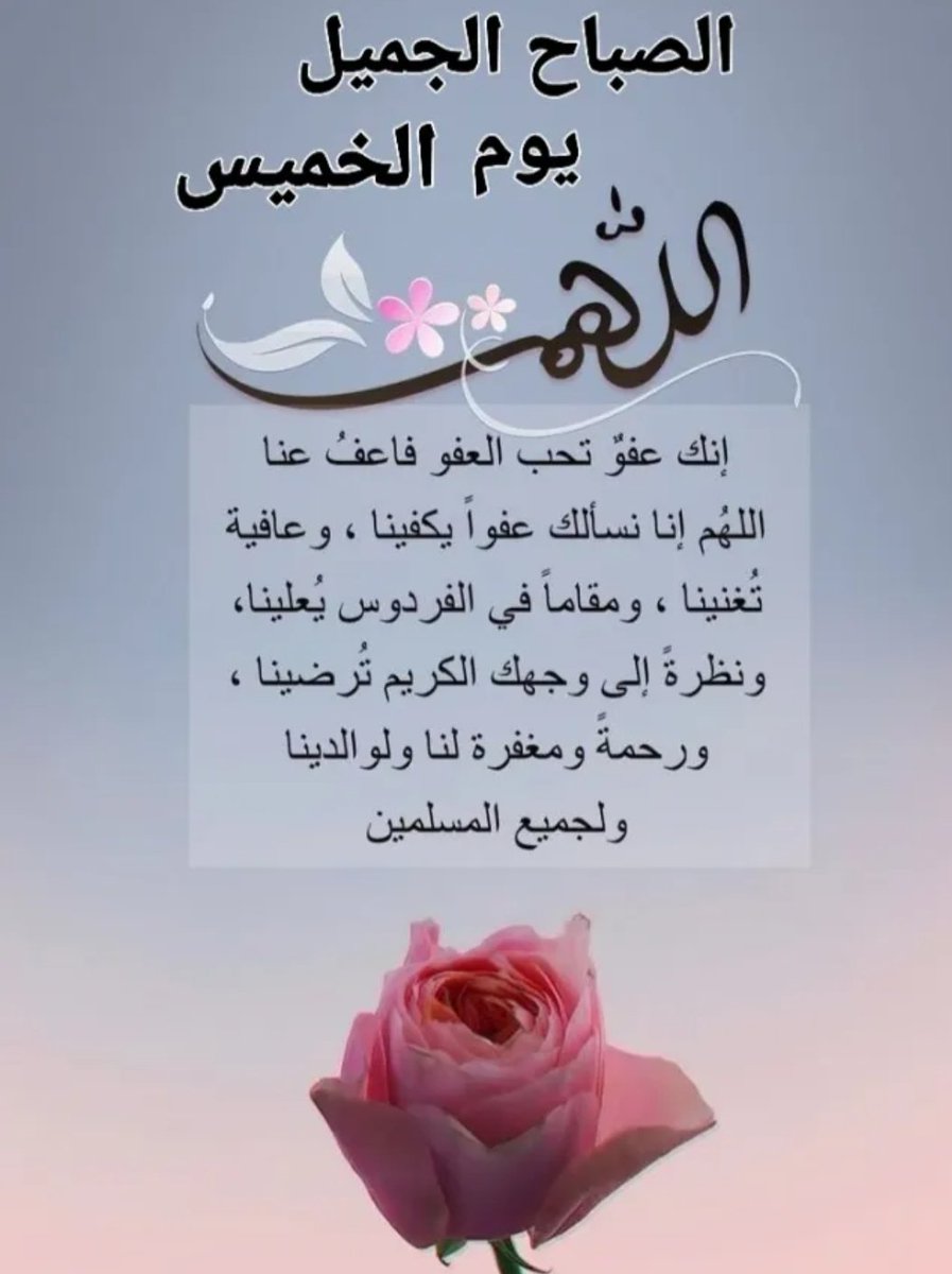 Monawaat nour tweet media