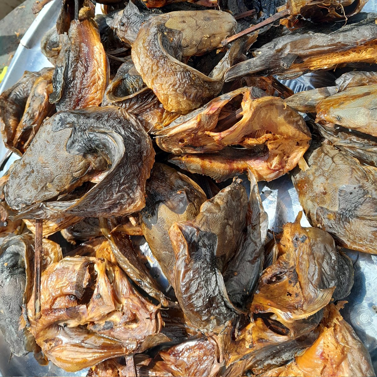 ETA_enterprise's tweet image. Enjoy maximum satisfaction from our neatly-dried Catfish together with your households!

✅️ Hygienically processed
✅️ Highly nutritious
✅️ Affordable
✅️ Free Seasoning Powder inside 

Get in touch for yours now!

#healthylifestyle #HealthyFood #driedfish #foodsecurity