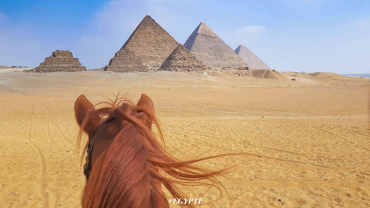 Le week-end approche à grands pas ! 🐎🐎🐎