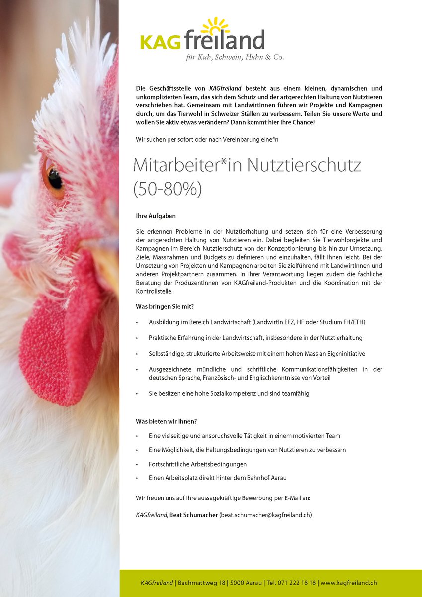 Hast Du Erfahrungen in der Landwirtschaft (Nutztierhaltung) und Interesse, für den Nutztierschutz zu arbeiten? Wir suchen ein neues "Arbeits-Gspänli": 

kagfreiland.ch/media/mitarbei…