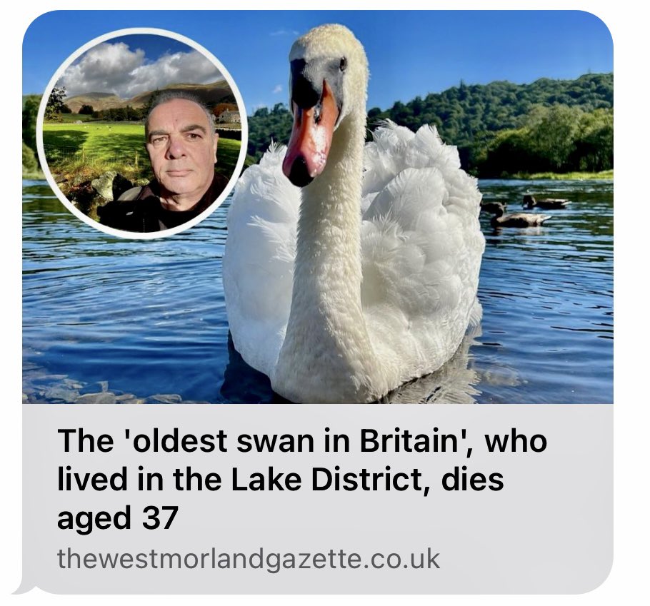 <a href="/HenrySwan13/">HenrySwan</a> remembered in this weeks #WestmorlandGazette <a href="/gazettenewsdesk/">Westmorland Gazette</a> #Grasmere #LakeDistrict <a href="/ThePhotoHour/">#ThePhotoHour</a> <a href="/TheGlitterPath1/">The Glitter Path</a>