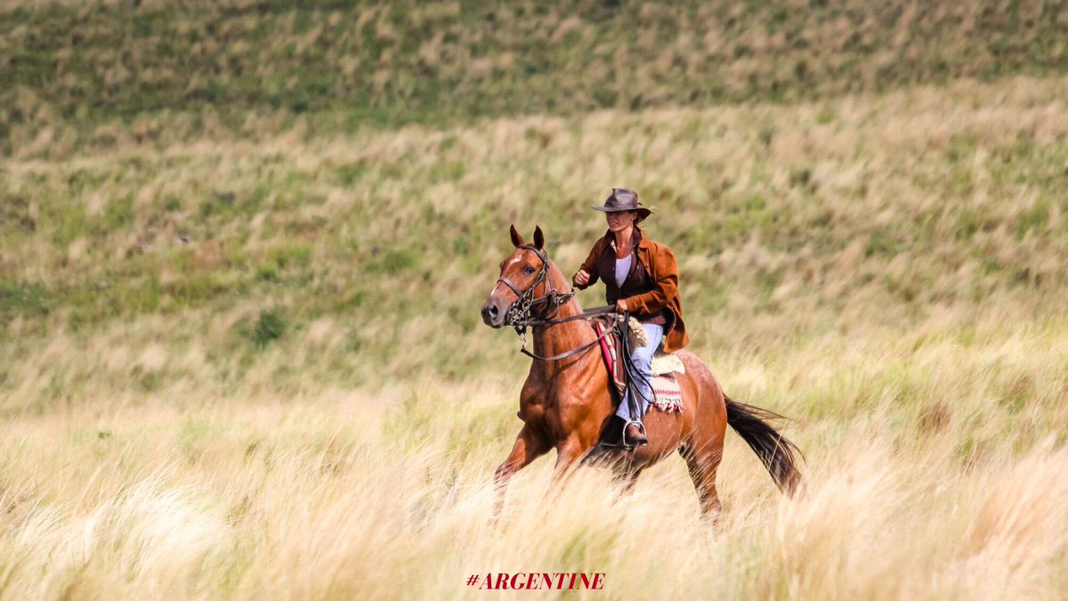 Bonjour long week-end ! 🐴