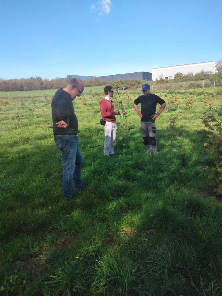 IntactProgetto's tweet image. As part of his secondment at @INRAE_France Nancy Grand Est, prof. Lahsen Khabar (@um5rabat) visited on October 26th, 2022 with Cyrille Bach and Claude Murat from INRAE, truffle fields in Alsace to Tuber melanosporum, Tuber uncinatum/aestivum and Tuber mesentericum.