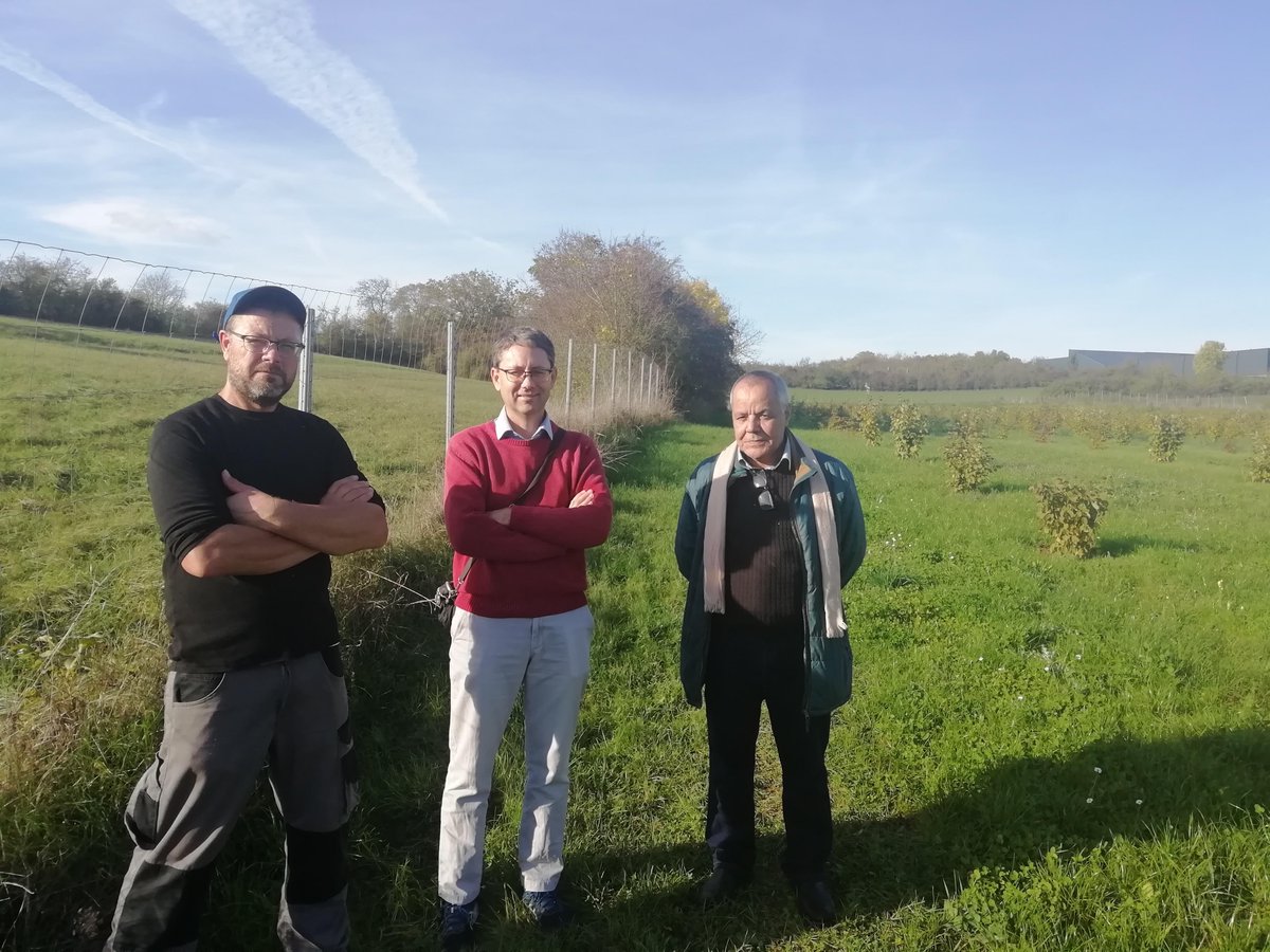 IntactProgetto's tweet image. As part of his secondment at @INRAE_France Nancy Grand Est, prof. Lahsen Khabar (@um5rabat) visited on October 26th, 2022 with Cyrille Bach and Claude Murat from INRAE, truffle fields in Alsace to Tuber melanosporum, Tuber uncinatum/aestivum and Tuber mesentericum.