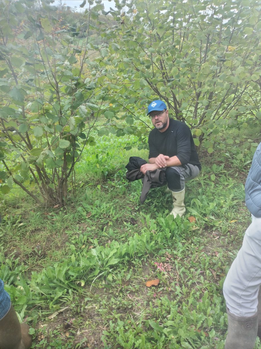IntactProgetto's tweet image. As part of his secondment at @INRAE_France Nancy Grand Est, prof. Lahsen Khabar (@um5rabat) visited on October 26th, 2022 with Cyrille Bach and Claude Murat from INRAE, truffle fields in Alsace to Tuber melanosporum, Tuber uncinatum/aestivum and Tuber mesentericum.