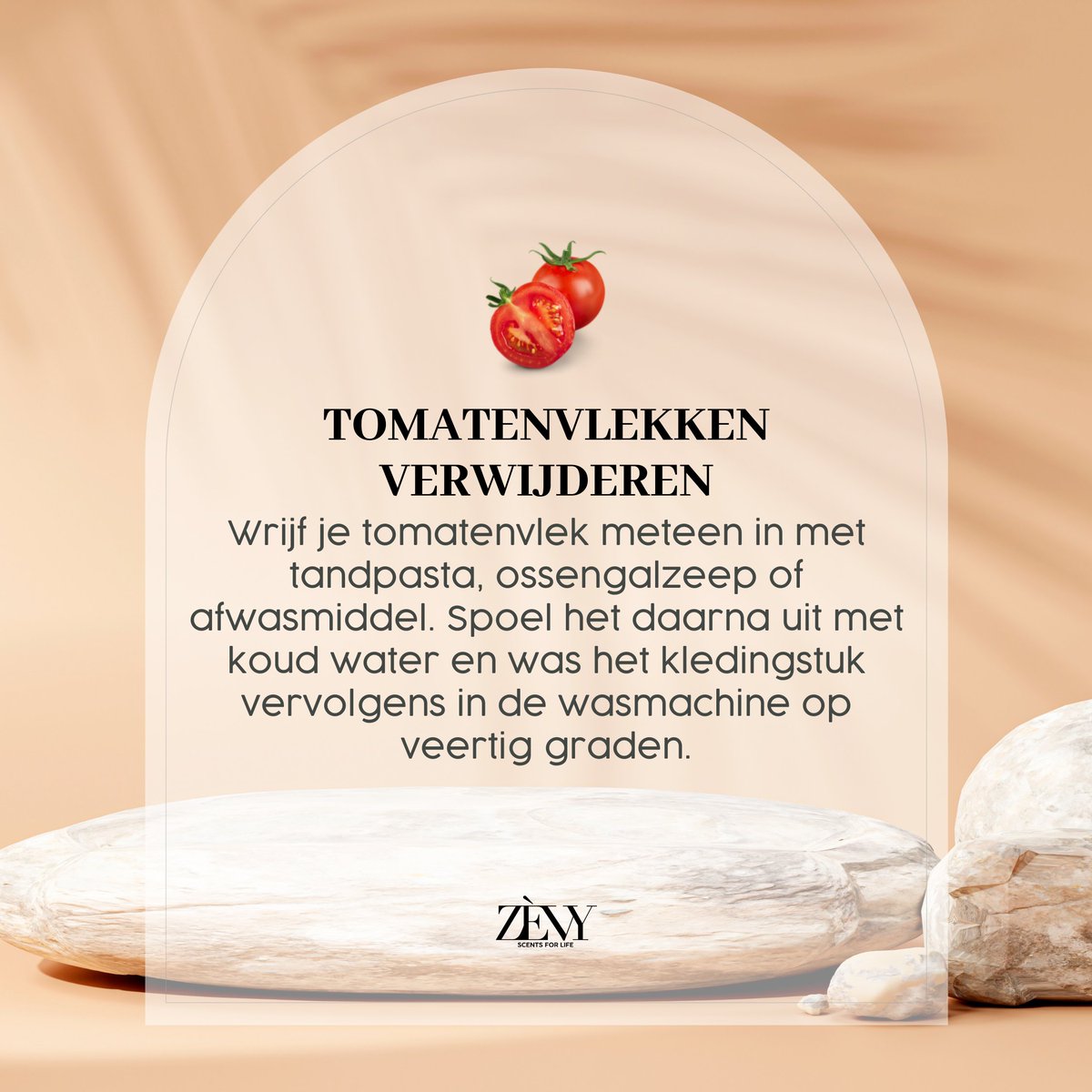 Zevy_nl's tweet photo. Tomatenvlek?😢 Behandel je vlek meteen voor het beste resultaat!

#wasparfum #wasparfums #wasgeuren #geurboosters #zevy #luxe #wasgoed #wasmachine #schonewas #tips #handig #handigetips #lifehacks #clean #cleaning #tomaten #tomaat #tomatenvlek #ossengalzeep #tandpasta #afwasmiddel https://t.co/bsD0UxhH8U