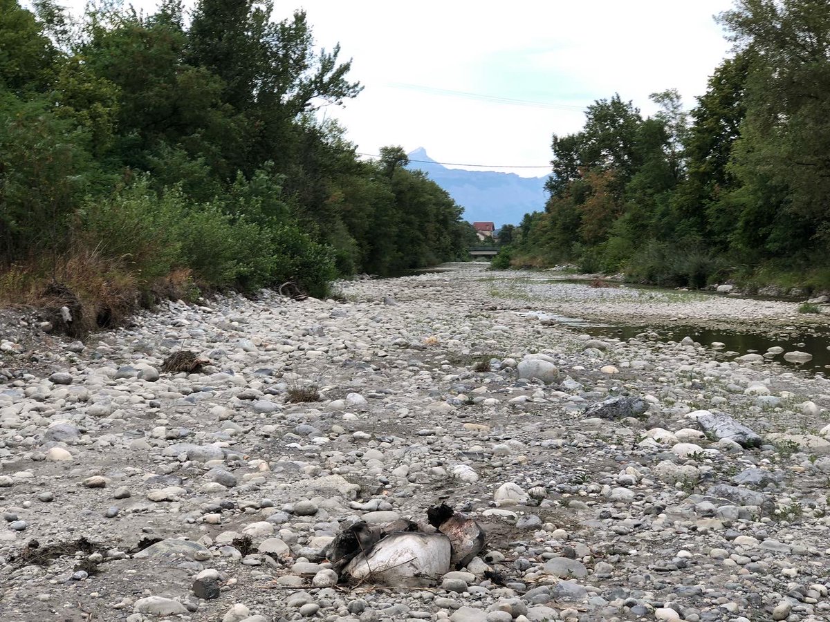 Sogedo1's tweet photo. Parution de la lettre d'informations n°76 de la @fp2e_ avec notamment un article très documenté sur la sécheresse 2022 : https://t.co/j98Nvb8kQV @tristanmathieu1 #eau #secheresse #FP2E https://t.co/GFooaQStbo